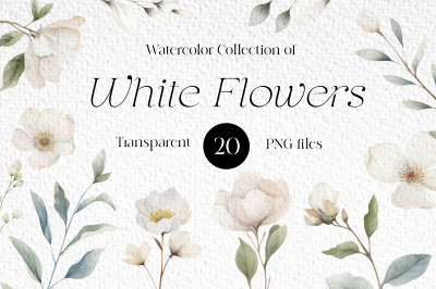 Watercolor White Flowers Clipart Bundle, Png, Flower