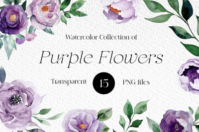 Watercolor Purple Flowers Clipart Bundle, Wedding Floral Elements, PNG