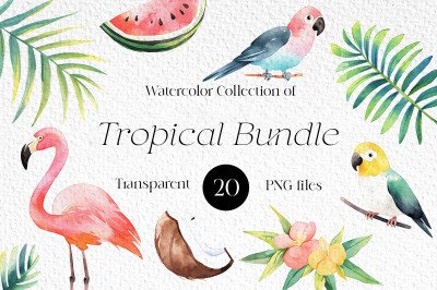 Tropical Watercolor Clipart Bundle, Tropical elements, Tropical birds,
