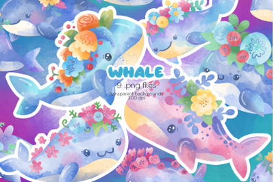 Whales Clipart - PNG Files