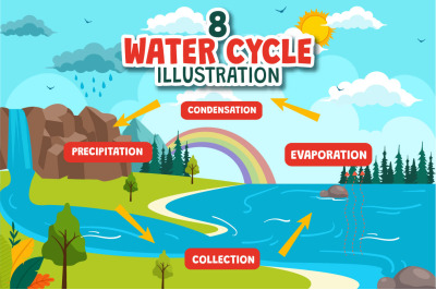 8 Water Cycle Illustration
