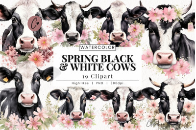 Watercolor Spring Black &amp; White Cows PNG