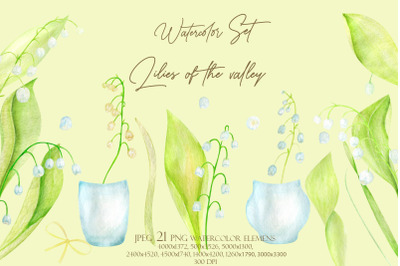 Watercolor Lilies of the valley set Clipart elemens