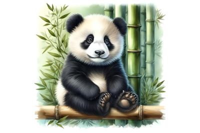 Baby panda sitting