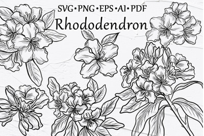 Rhododendron line art clipart