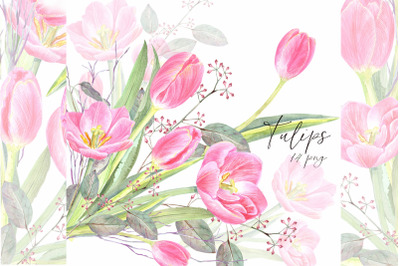 Watercolor Pink Tulips