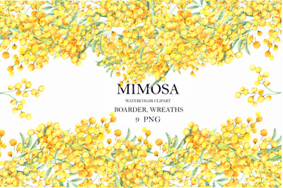 Spring Mimosa