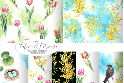 Mimosa and Tulips Seamless pattern