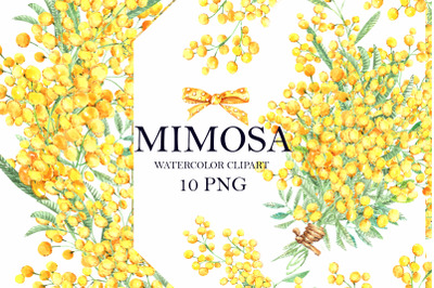 Mimosa clipart set