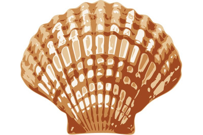 Seashell SVG - layered - stencil