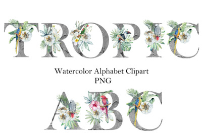 Watercolor alphabet with parrots.