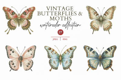 Vintage Butterflies &amp; Moths