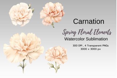 Carnation Spring Floral Watercolor Sublimation Png