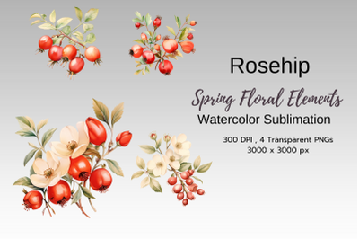 Spring Floral Watercolor Sublimation Clipart