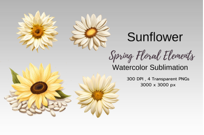 Spring Floral Watercolor Sublimation Clipart