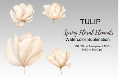 Spring Floral Watercolor Sublimation Clipart