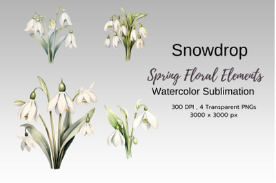 Spring Floral Watercolor Sublimation Clipart