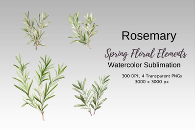 Spring Floral Watercolor Sublimation Clipart