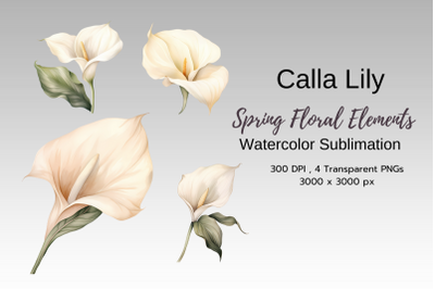 Spring Floral Watercolor Sublimation Clipart