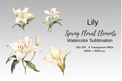 Spring Floral Watercolor Sublimation Clipart