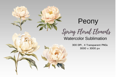 Spring Floral Watercolor Sublimation Clipart