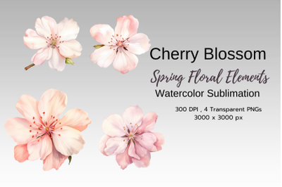 Spring Floral Watercolor Sublimation Clipart