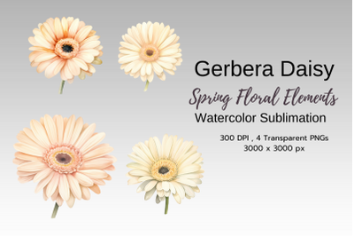 Spring Floral Watercolor Sublimation Clipart