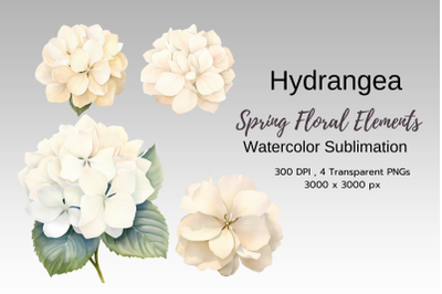 Spring Floral Watercolor Sublimation Clipart