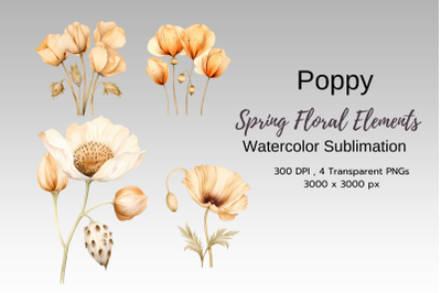 Spring Floral Watercolor Sublimation Clipart