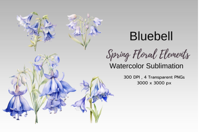 Spring Floral Watercolor Sublimation Clipart