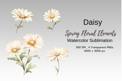 Spring Floral Watercolor Sublimation Clipart