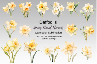 Daffodil Spring Floral Watercolor Sublimation Clipart