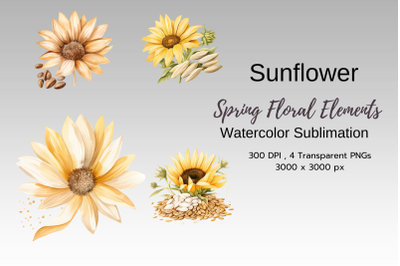 Spring Floral Watercolor Sublimation Clipart PNG