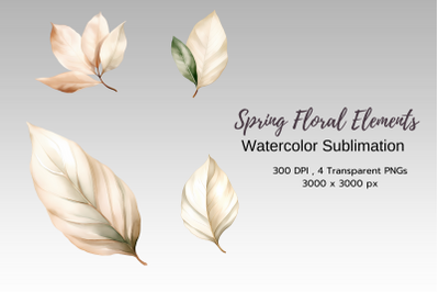 Spring Elements Clipart PNG