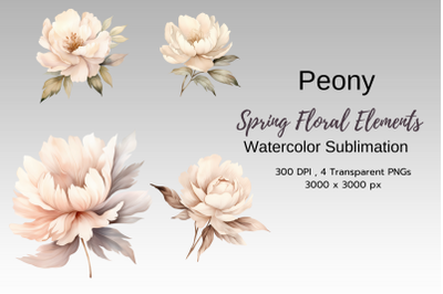 Spring Floral Watercolor Sublimation Clipart PNG