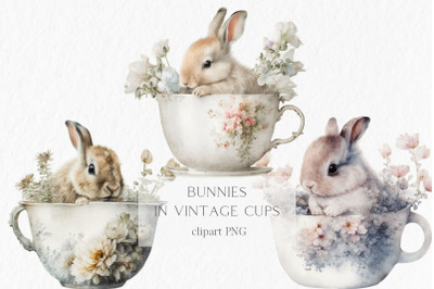 Bunnies in vintage cups Watercolor Clipart