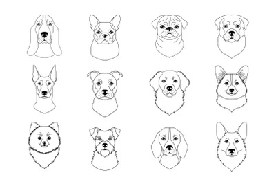 Collection of dogs icons