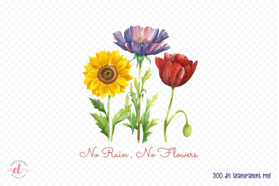 No Rain No Flowers | Flower Quote Sublimation