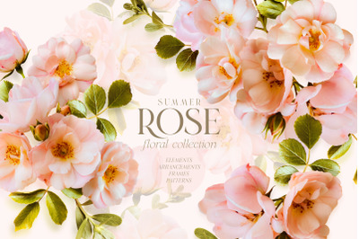 Summer Wild Pink Rose Floral Graphics