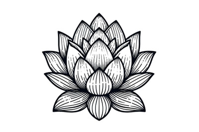 lotus flower simple line drawing