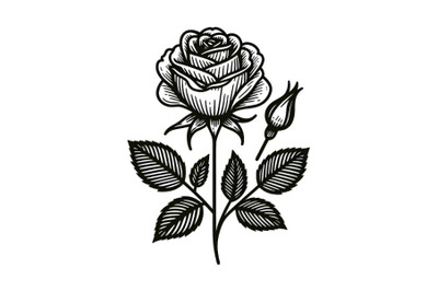 rose flower simple line drawing