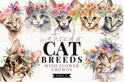 Cat Breeds with Flower Crowns Part 2