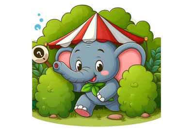 Cartoon funny elephant playing hide and seek