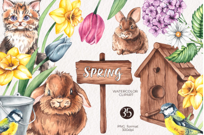 Watercolor Spring/ Watercolor clipart PNG