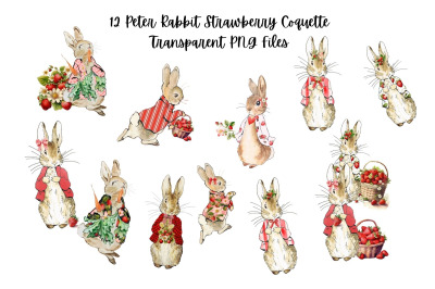 12 Peter Rabbit Strawberry Coquette ClipArt