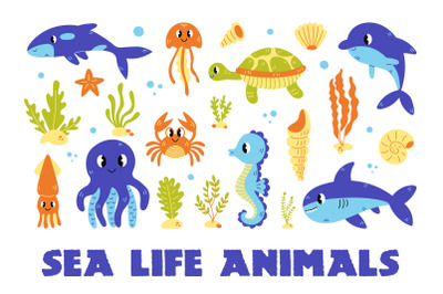 Sea Life Animals