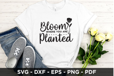 Bloom Where You Are Planted SVG