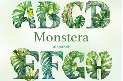 Monstera Alphabet Clipart | Green Letters