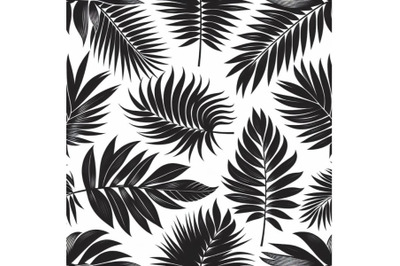 Black palm leaves on white background