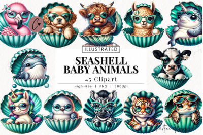 Seashell Baby Animals Clipart, Beach PNG